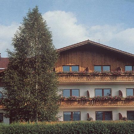 Pension Waldkristall Frauenau Extérieur photo