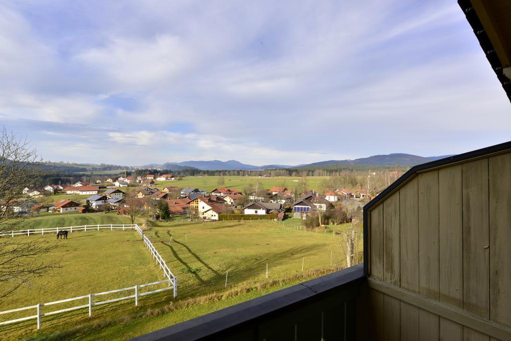 Pension Waldkristall Frauenau Extérieur photo