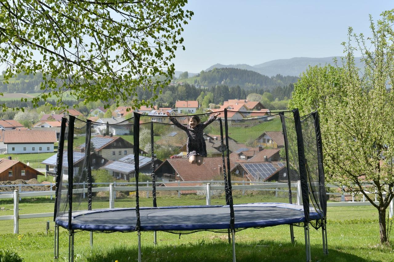Pension Waldkristall Frauenau Extérieur photo